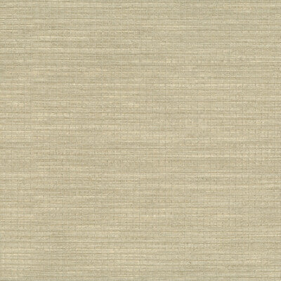 KRAVET DESIGN W3553.116.0 KRAVET DESIGN W3553-116 Wallpaper - Eade's Wallpaper