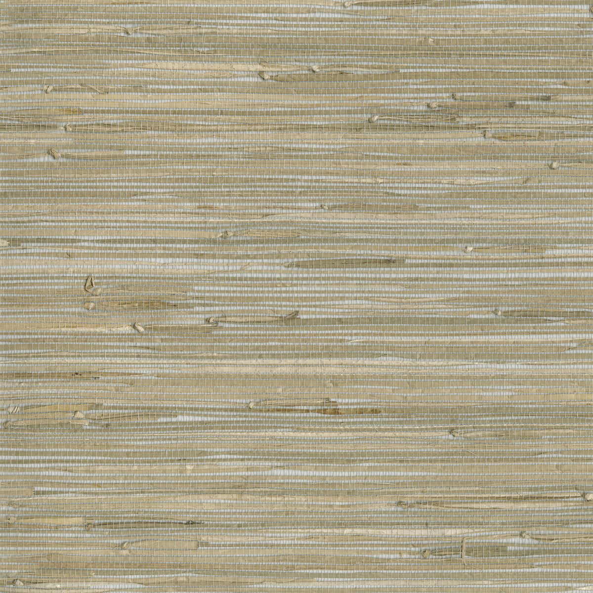 KRAVET DESIGN W3560.1611.0 KRAVET DESIGN W3560-1611 Wallpaper - Eade's Wallpaper