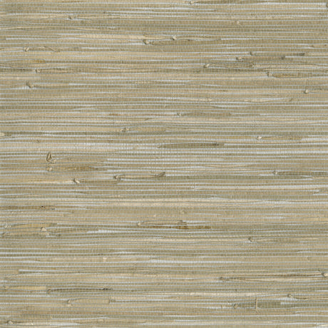 KRAVET DESIGN W3560.1611.0 KRAVET DESIGN W3560-1611 Wallpaper - Eade's Wallpaper