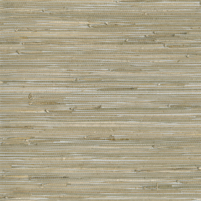 KRAVET DESIGN W3560.1611.0 KRAVET DESIGN W3560-1611 Wallpaper - Eade's Wallpaper
