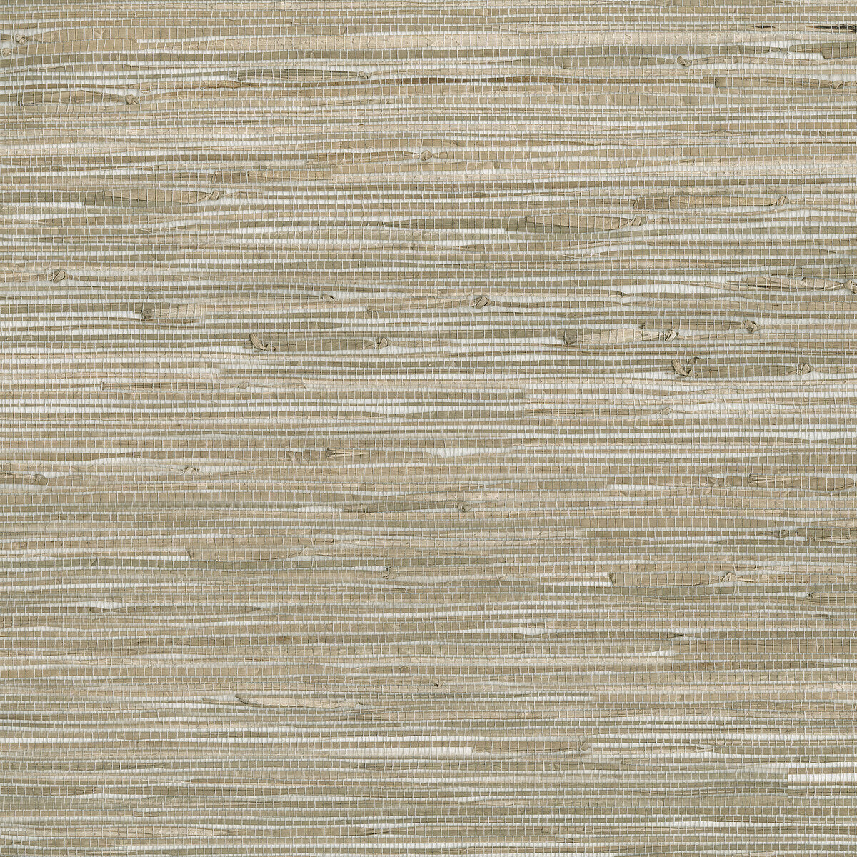 KRAVET DESIGN W3561.106.0 KRAVET DESIGN W3561-106 Wallpaper - Eade's Wallpaper