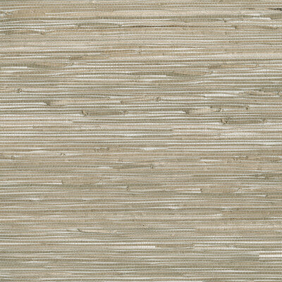 KRAVET DESIGN W3561.106.0 KRAVET DESIGN W3561-106 Wallpaper - Eade's Wallpaper