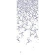 KRAVET COUTURE W3578.10.0 FALLING GINKGO SPRING Wallpaper - Eade's Wallpaper