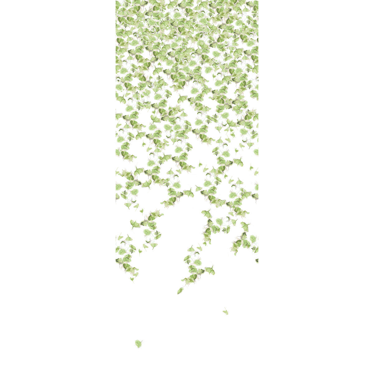KRAVET COUTURE W3578.3.0 FALLING GINKGO SUMMER Wallpaper - Eade's Wallpaper