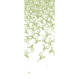 KRAVET COUTURE W3578.3.0 FALLING GINKGO SUMMER Wallpaper - Eade's Wallpaper