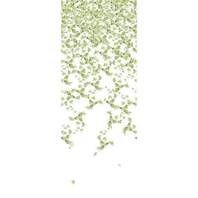 KRAVET COUTURE W3578.3.0 FALLING GINKGO SUMMER Wallpaper - Eade's Wallpaper