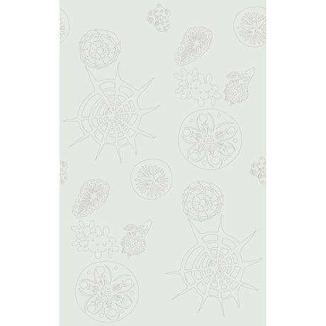 KRAVET COUTURE W3585.1.0 TELESCOPIC P MERCURY Wallpaper - Eade's Wallpaper
