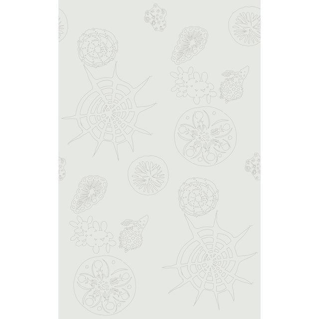 KRAVET COUTURE W3585.1.0 TELESCOPIC P MERCURY Wallpaper - Eade's Wallpaper