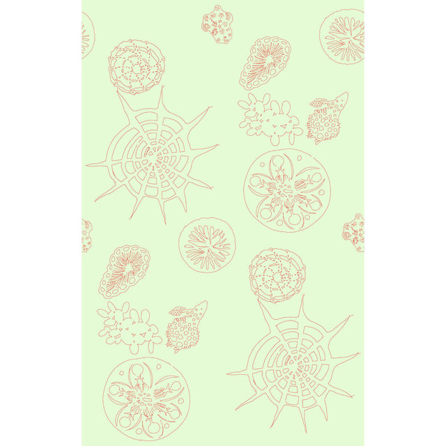 KRAVET COUTURE W3585.319.0 TELESCOPIC P CORAL SEA Wallpaper - Eade's Wallpaper