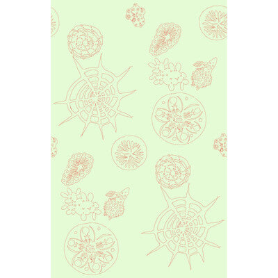KRAVET COUTURE W3585.319.0 TELESCOPIC P CORAL SEA Wallpaper - Eade's Wallpaper