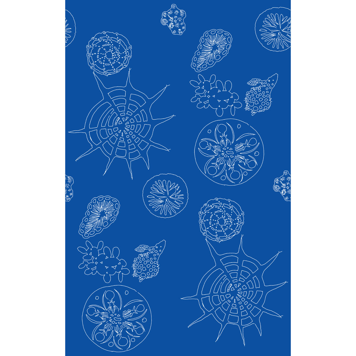 KRAVET COUTURE W3585.5.0 TELESCOPIC P NAUTICS Wallpaper - Eade's Wallpaper