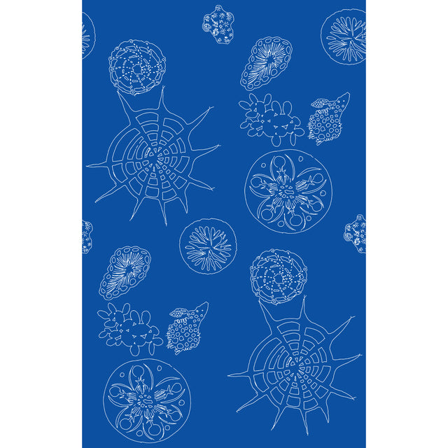 KRAVET COUTURE W3585.5.0 TELESCOPIC P NAUTICS Wallpaper - Eade's Wallpaper