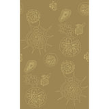 KRAVET COUTURE W3585.616.0 TELESCOPIC P SANDDOLLAR Wallpaper - Eade's Wallpaper