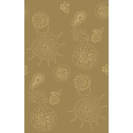 KRAVET COUTURE W3585.616.0 TELESCOPIC P SANDDOLLAR Wallpaper - Eade's Wallpaper