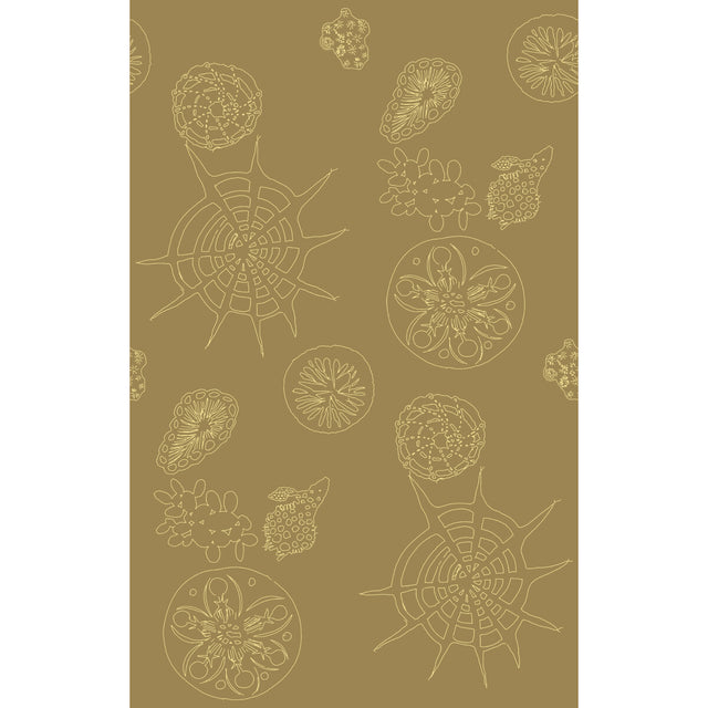 KRAVET COUTURE W3585.616.0 TELESCOPIC P SANDDOLLAR Wallpaper - Eade's Wallpaper