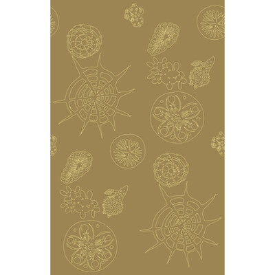 KRAVET COUTURE W3585.616.0 TELESCOPIC P SANDDOLLAR Wallpaper - Eade's Wallpaper