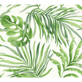KRAVET DESIGN W3593.3.0 KRAVET DESIGN W3593-3 Wallpaper - Eade's Wallpaper