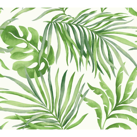 KRAVET DESIGN W3593.3.0 KRAVET DESIGN W3593-3 Wallpaper - Eade's Wallpaper