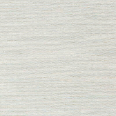 KRAVET DESIGN W3616.316.0 KRAVET DESIGN W3616-316 Wallpaper - Eade's Wallpaper