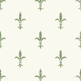 KRAVET DESIGN W3717.3.0 KRAVET DESIGN W3717-3 Wallpaper - Eade's Wallpaper