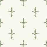 KRAVET DESIGN W3717.3.0 KRAVET DESIGN W3717-3 Wallpaper - Eade's Wallpaper