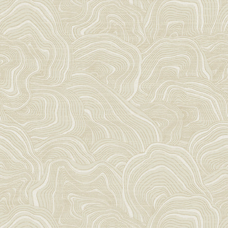 KRAVET DESIGN W3719.116.0 KRAVET DESIGN W3719-116 Wallpaper - Eade's Wallpaper