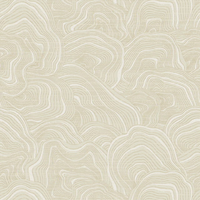 KRAVET DESIGN W3719.116.0 KRAVET DESIGN W3719-116 Wallpaper - Eade's Wallpaper