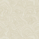 KRAVET DESIGN W3719.116.0 KRAVET DESIGN W3719-116 Wallpaper - Eade's Wallpaper