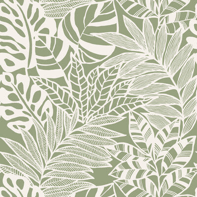 KRAVET DESIGN W3774.3.0 KRAVET DESIGN W3774-3 Wallpaper - Eade's Wallpaper