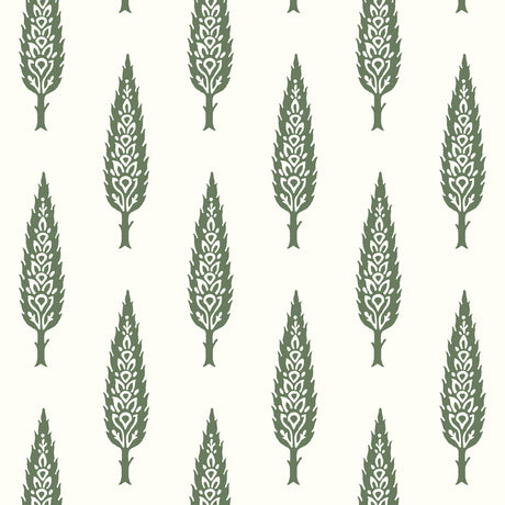 KRAVET DESIGN W3775.3.0 KRAVET DESIGN W3775-3 Wallpaper - Eade's Wallpaper