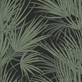 KRAVET DESIGN W3781.8.0 KRAVET DESIGN W3781-8 Wallpaper - Eade's Wallpaper