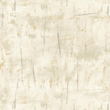 KRAVET DESIGN W3789.116.0 KRAVET DESIGN W3789-116 Wallpaper - Eade's Wallpaper