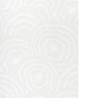 KRAVET COUTURE PANACHE WP W3823.115.0 in SKY Wallpaper - COR