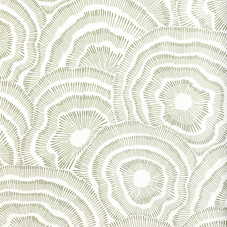 KRAVET COUTURE W3823.123.0 PANACHE WP LEAF Wallpaper - Eade's Wallpaper