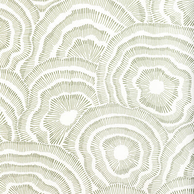 KRAVET COUTURE W3823.123.0 PANACHE WP LEAF Wallpaper - Eade's Wallpaper