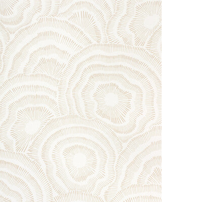 KRAVET COUTURE PANACHE WP W3823.16.0 in NATURAL Wallpaper - 