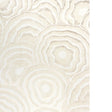KRAVET COUTURE PANACHE WP W3823.4.0 in CHAMPAGNE Wallpaper -