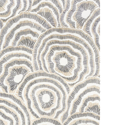 KRAVET COUTURE PANACHE WP W3823.84.0 in ONYX Wallpaper - COR