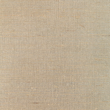 KRAVET COUTURE W3846.106.0 GLAM SISAL NATURAL Wallpaper - Eade's Wallpaper
