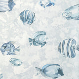 KRAVET DESIGN W3847.52.0 GREAT REEF WP CRYSTAL Wallpaper - Eade's Wallpaper