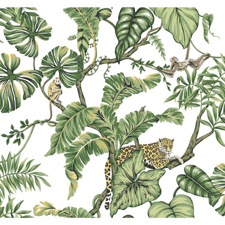 KRAVET DESIGN W3915.3.0 KRAVET DESIGN W3915-3 Wallpaper - Eade's Wallpaper