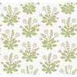 KRAVET DESIGN W3928.303.0 W3928 303 Wallpaper - Eade's Wallpaper