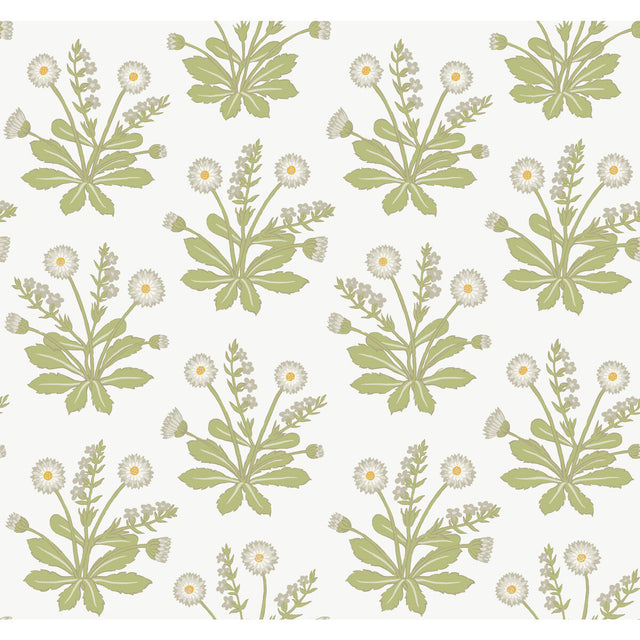 KRAVET DESIGN W3928.303.0 W3928 303 Wallpaper - Eade's Wallpaper