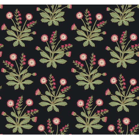 KRAVET DESIGN W3928.817.0 W3928 817 Wallpaper - Eade's Wallpaper