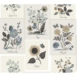 KRAVET DESIGN W3947.6106.0 KRAVET DESIGN W3947-6106 Wallpaper - Eade's Wallpaper