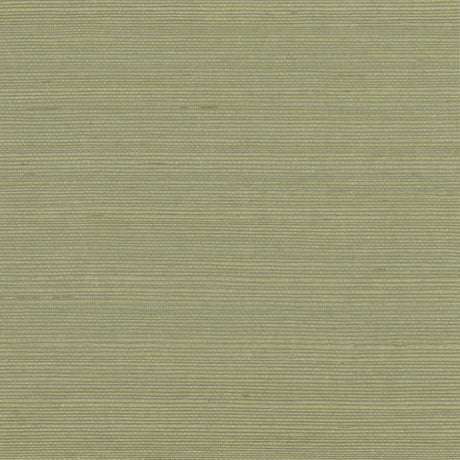 KRAVET DESIGN W4003.303.0 KRAVET DESIGN W4003-303 Wallpaper - Eade's Wallpaper
