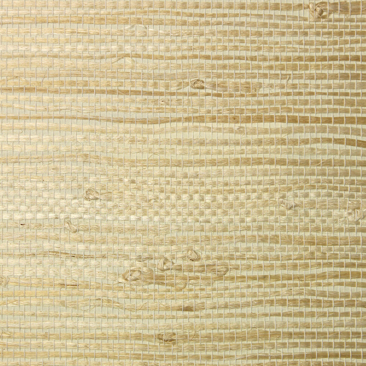 KRAVET DESIGN W4034.116.0 KRAVET DESIGN W4034-116 Wallpaper - Eade's Wallpaper
