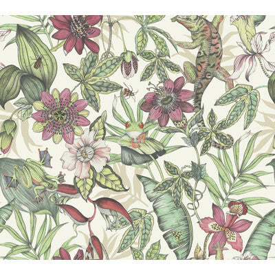 KRAVET DESIGN W4131.719.0 KRAVET DESIGN W4131-719 Wallpaper - Eade's Wallpaper