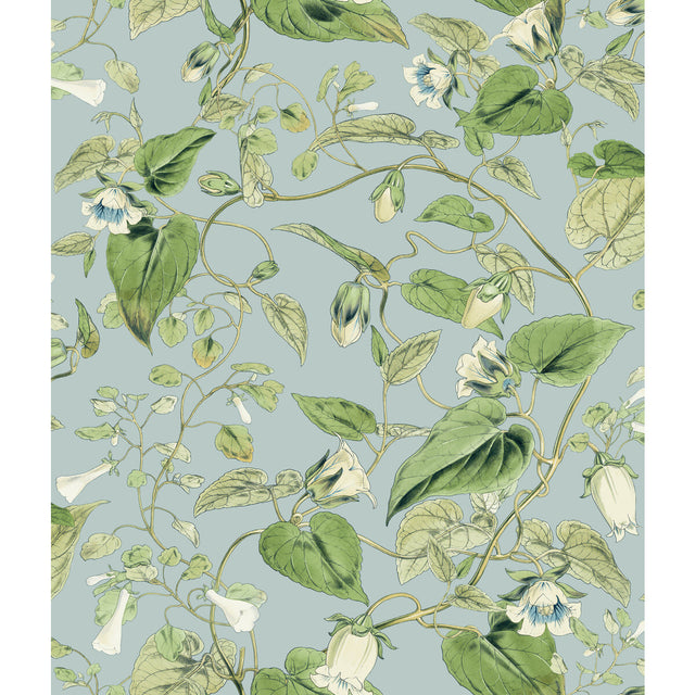 KRAVET DESIGN W4132.153.0 KRAVET DESIGN W4132-153 Wallpaper - Eade's Wallpaper