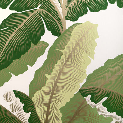 KRAVET COUTURE W4151.153.0 ISLA ROYAL WP GOLDEN PALM Wallpaper - Eade's Wallpaper